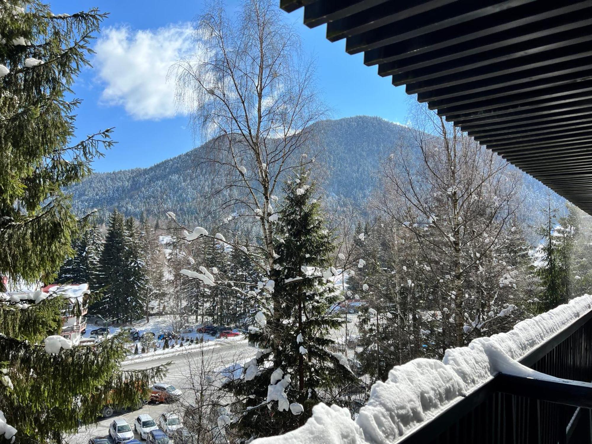 Apartment 2305 Hotel Alpin 포이아나브라소프 외부 사진